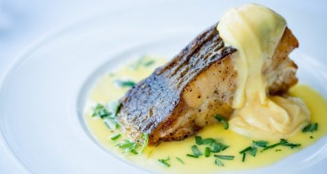Turbot Hollandaise
